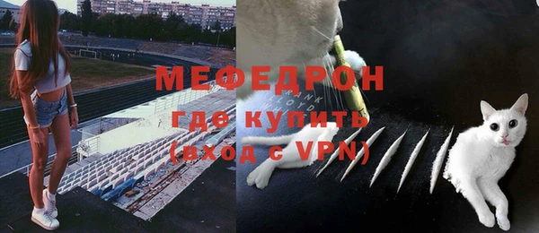 дмт Богданович