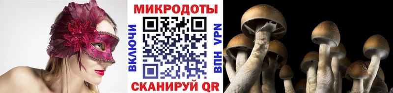 omg онион Гаврилов-Ям Галлюциногенные грибы MAGIC MUSHROOMS